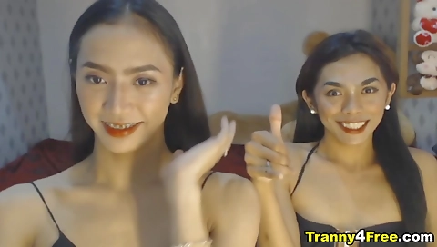 Sexy shemale webcam 2nd degree shemale 2nd degree webcam